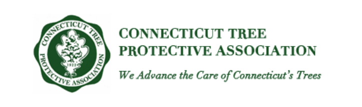 CTPA (Connecticut Tree Protective Association) - Keeping Trees Across CT  Safe, Healthy & Beautiful